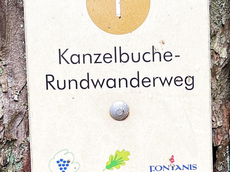 23-03-12 12-39-55 4781